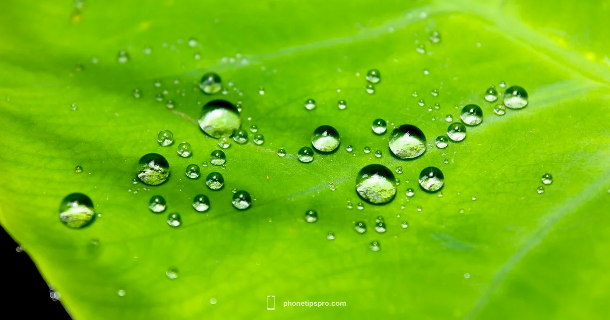 iPhone 14 Waterproof - Phone Tips Pro